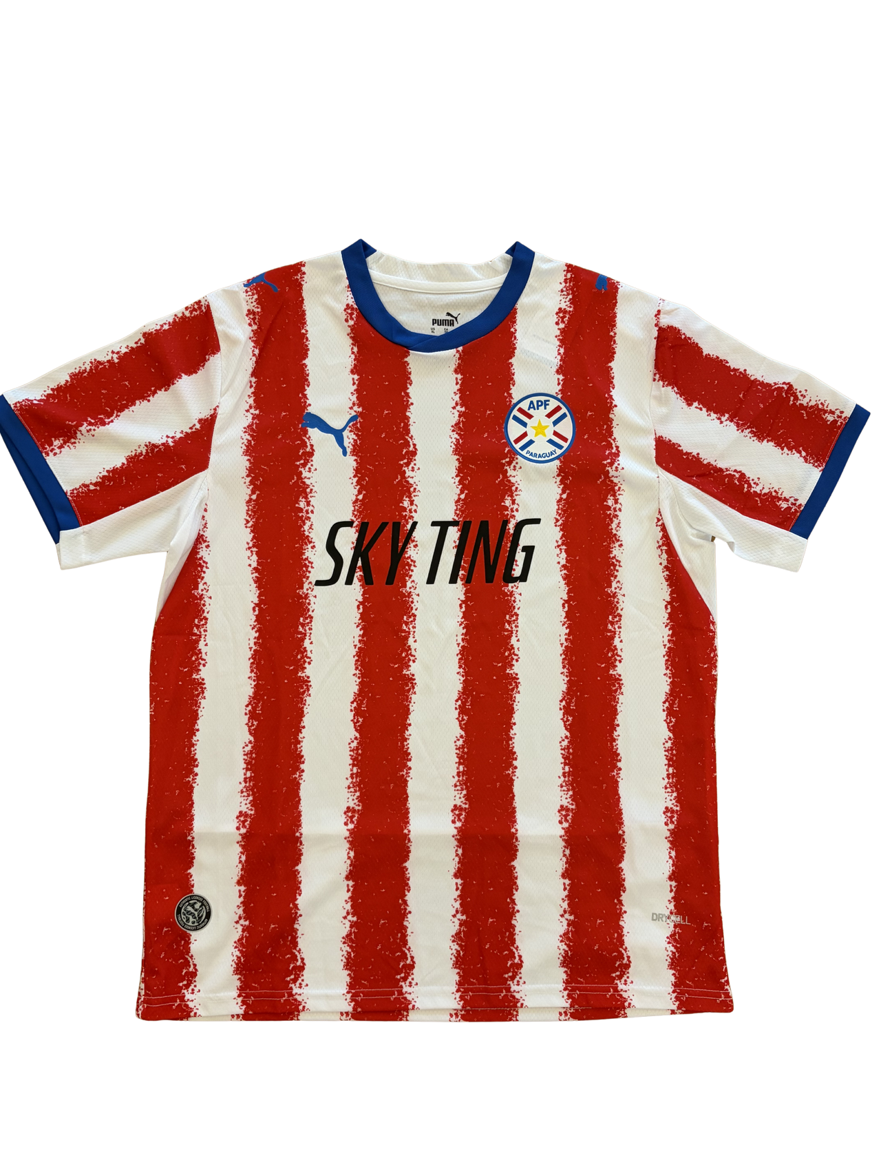 SKY TING HERITAGE JERSEY