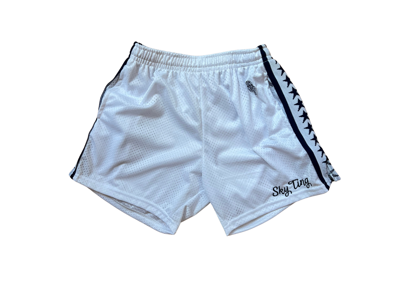 THE SWAN CONSTELLATION LAX SHORT